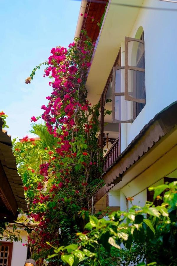 Garden Lodge Zanzibar Exterior foto